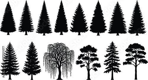 Collection of evergreen and deciduous tree silhouettes including pine, fir, spruce and willow, black isolated vector set for landscape design