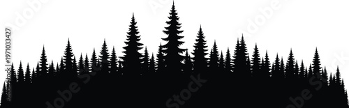 Dense forest silhouette border featuring pine and evergreen trees, black isolated vector illustration for landscape, nature backgrounds and decorative design projects