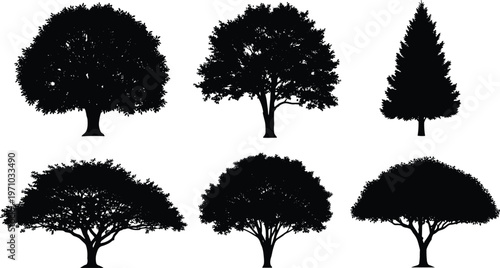 Detailed tree silhouettes set featuring oak, pine and wide canopy trees, black isolated vector collection for forest, landscape and nature design