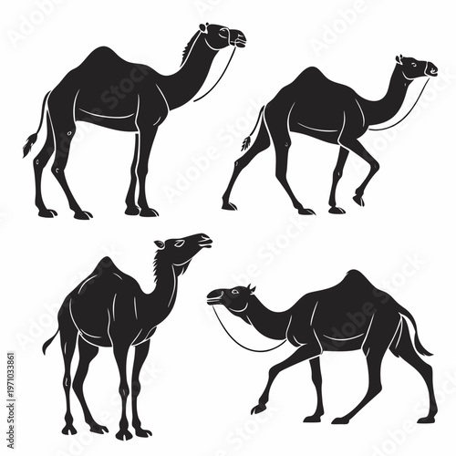 A set of four black camel silhouettes in different poses on a white background