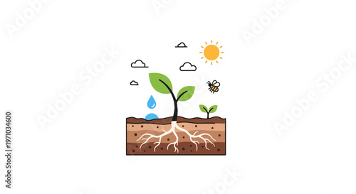 Green plant growing in soil.