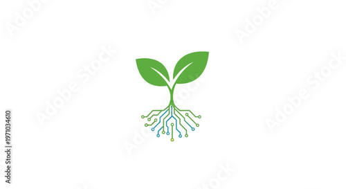 Green plant sprout with roots growing.