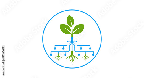 Green plant with roots growing.