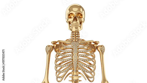 Golden skeleton with diamonds on white background, luxury jewelry concept