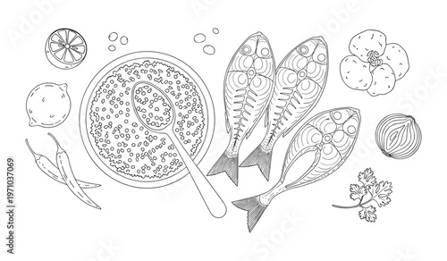 Botanical Plant Cross-Sections and Seeds Vector Illustration