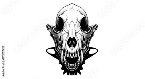 Anatomical illustration of a snarling dog skull with sharp teeth and bared fangs, rendered in a detailed black and white graphic style