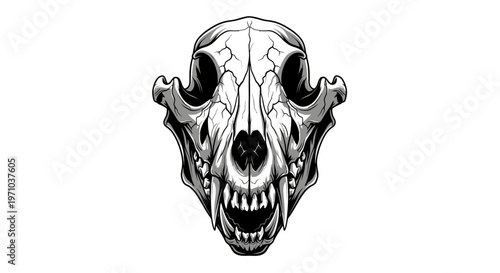 Detailed illustration of a canine skull with sharp teeth, presented in a striking black and white graphic style