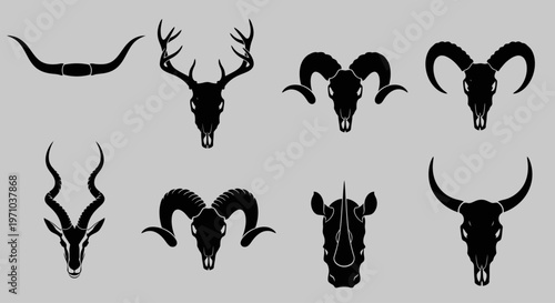 Collection of Animal Skulls and Horns with Unique Features and Designs