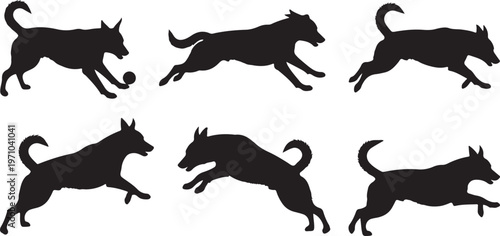dog playing running jumping silhouette set black vector.