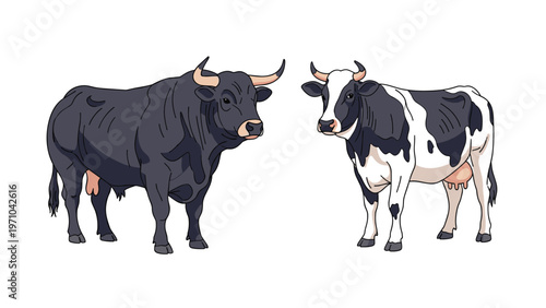Side view illustration of a powerful black bull and a dairy cow with black and white patches standing together on a white background.