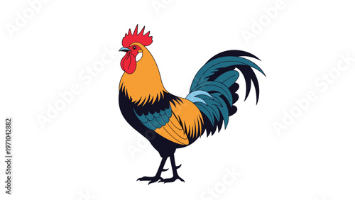 Colorful rooster with vibrant plumage standing in a proud pose on a plain white background in a detailed vector style.