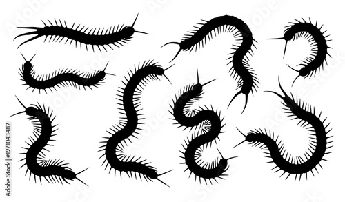 Black centipede silhouette vector set for flat design, logos, and digital illustrations