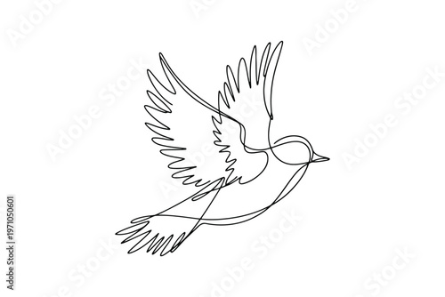 Black and white line of a flying bird with spread wings and tail feathers line black and white