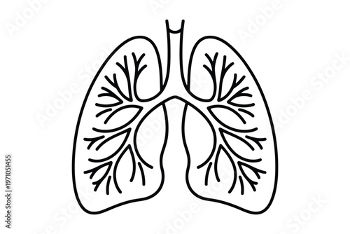 Black and white line of human lungs with bronchial tree line anatomy medical human body respiratory system