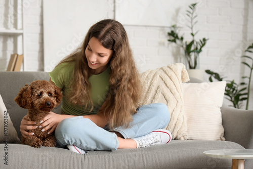 Teenage girl with Poodle do...