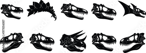 Large collection of dinosaur skull silhouettes including tyrannosaurus rex triceratops and pterodactyl for paleontology education museum exhibits historical research 