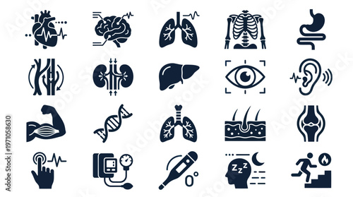 Medical Human Anatomy Organs Health Body Parts Glyph Vector Icons Set
