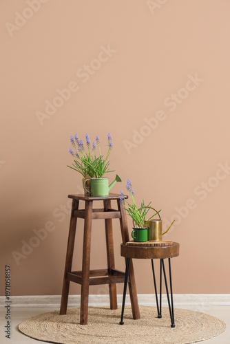 Beautiful Muscari flowers w...