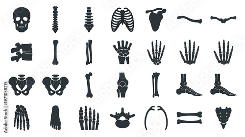 Medical Human Skeletal Anatomy Glyph Icons Set. Healthcare Body Bones Vector Illustrations.