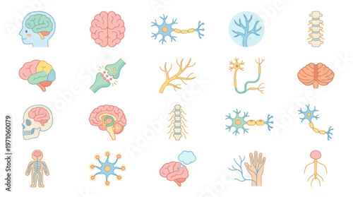 Medical  Neuroscience Flat Icons Set: Brain, Neurons, Nervous System, and Human Anatomy