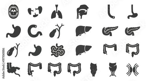 Medical Human Digestive System and Lungs Anatomy Glyph Icons Set