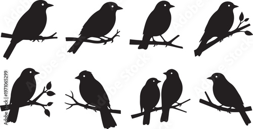 birds sitting branch silhouette set black