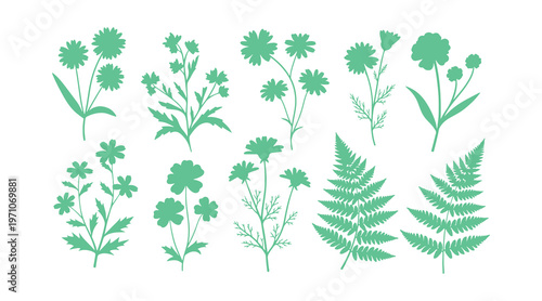 Array of flowers, leaves, and floral stems. Illustration of wild plants using a grunge brush technique. Botanical aspects. Vector artwork