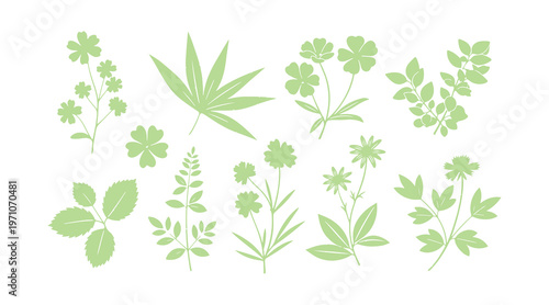Collection of blooms, foliage, and floral stems. Sketch of wild plants using a grunge brush. Botanical features. Vector art