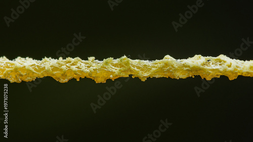 Deteriorating rubber band showing material degradation process