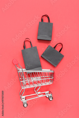 Shopping cart with bags on ...
