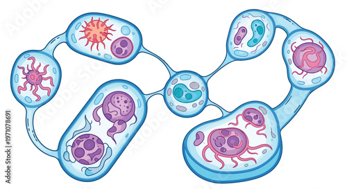 Scientific diagram displays a network of various biological cells connected by fluid bridges to show cellular communication.