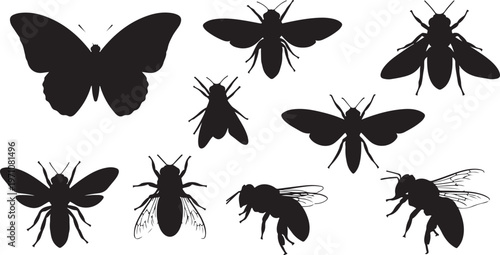 insects butterfly bee silhouette set black
