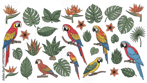 Set of colorful tropical parrots and exotic macaws perched among lush monstera leaves and vibrant bird of paradise flowers.