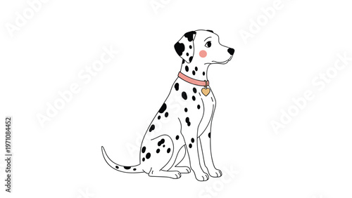 Spotted dalmatian dog with pink collar and heart shaped tag sitting and looking sideways on plain white background.