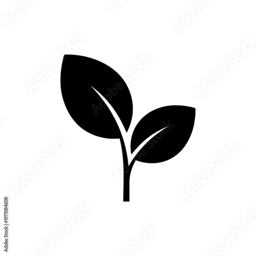 Black silhouette of a young plant sprout