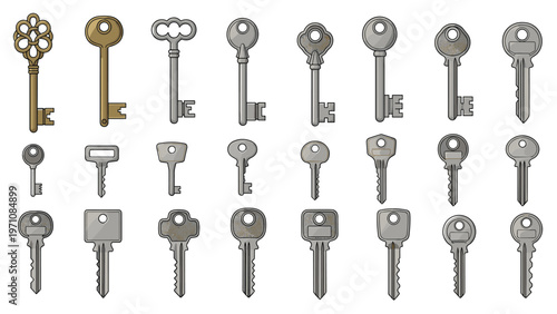 Wide variety of metal keys in different shapes and sizes including antique ornate styles and modern house keys.