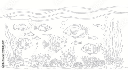 Fish swimming in aquarium water tank.