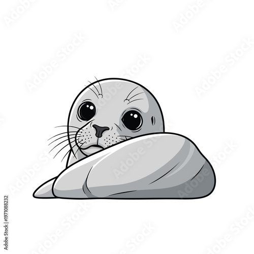 Cute vector illustration of a baby seal pup peeking shyly with big eyes on a clean white background.