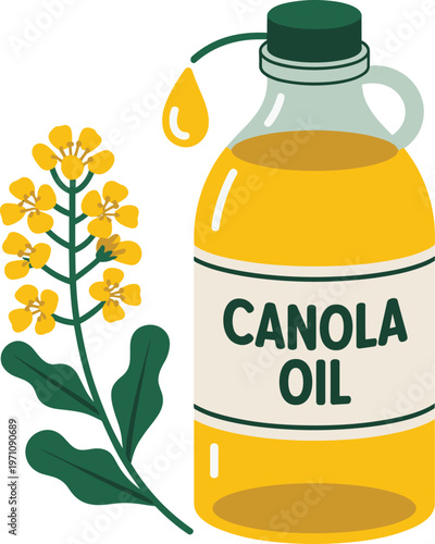 Canola Oil Bottle with Rapeseed Flower and Dripping Oil Drop, Vector Illustration
