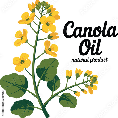 Natural Product with Blooming Yellow Flowers and Green Leaves Illustration