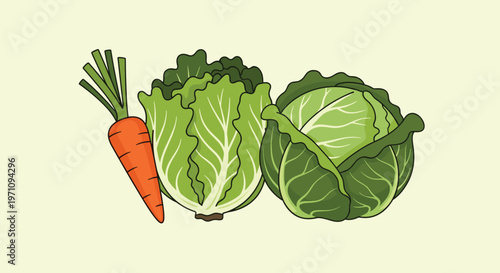 Fresh and healthy green vegetables including a carrot, head of lettuce, and a cabbage on light green background for cooking.
