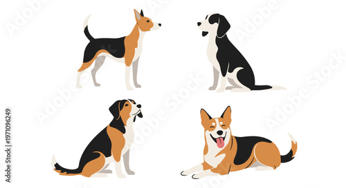 Collection of four different dog breeds shown in various poses including standing, sitting, and lying down on white background.