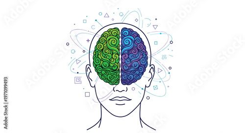 Outline of a human head with a brain split into colorful halves symbolizing the balance between logic and creativity.