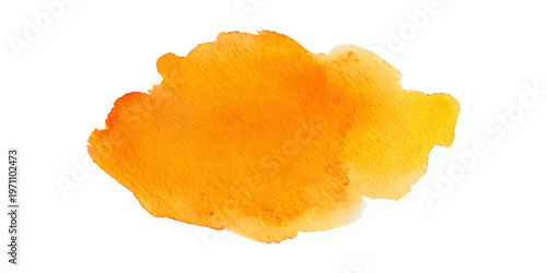 A colorful watercolor set featuring a close up of a yellow sponge, a slice of orange, and orange peel with tasty fruit textures and a paint splash