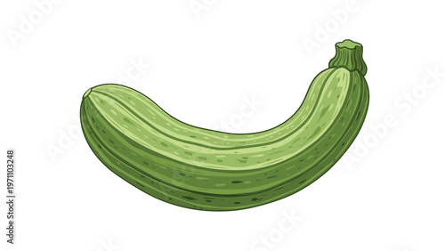 Fresh, long, and slightly curved green zucchini with striped skin, depicted as a healthy and organic vegetable on a white background.