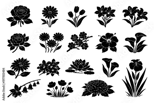 Collection of black silhouette floral designs featuring diverse flower types.