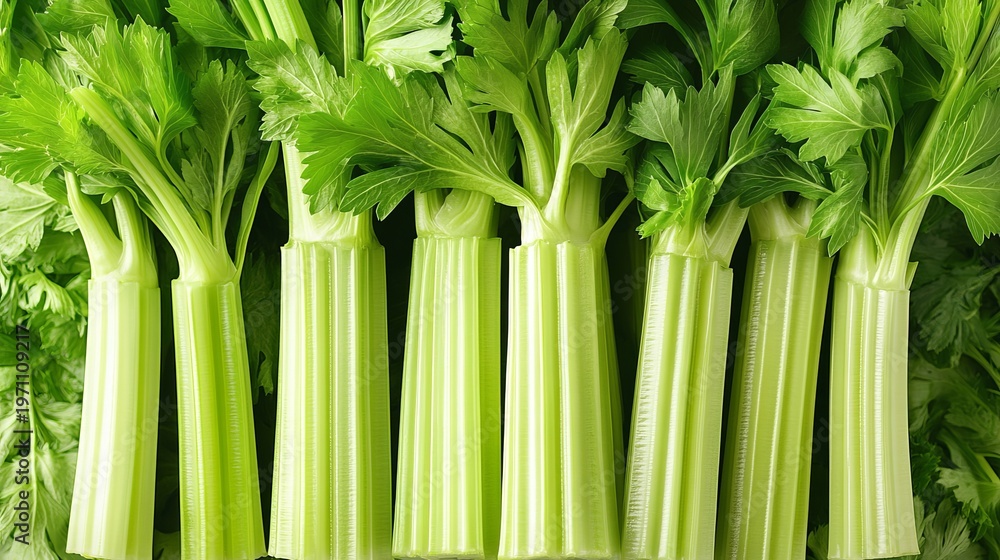 Fototapeta premium Fresh and Crisp Celery Stalks with Lush Green Leaves Filling the Frame, Showcasing Nature s Bounty