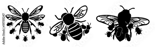 Bee cluster set with solid black icon on white background featuring bees, swarm, intelligence with icon design and vector illustration