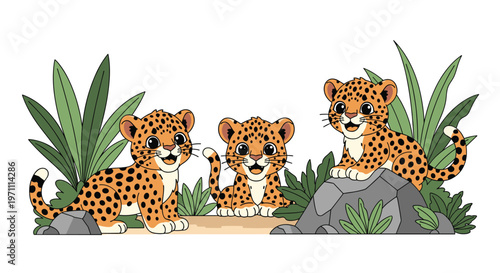Three cute leopard cubs playing together among rocks and green plants in their natural tropical jungle habitat.