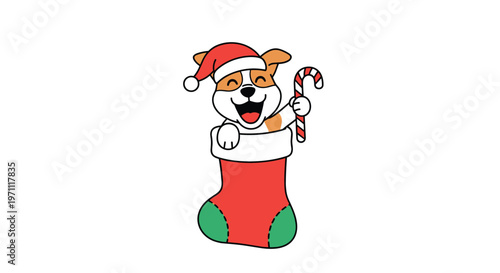 Happy corgi dog wearing a santa hat peeks out from a festive red christmas stocking while holding a striped candy cane.